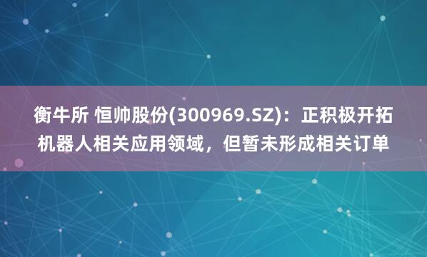 衡牛所 恒帅股份(300969.SZ)：正积极开拓机器人相关应用领域，但暂未形成相关订单