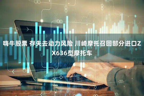 嗨牛股票 存失去动力风险 川崎摩托召回部分进口ZX636型摩托车