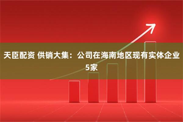 天臣配资 供销大集：公司在海南地区现有实体企业5家