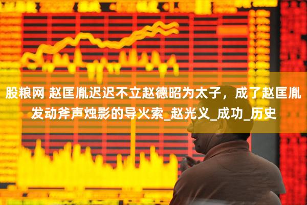 股粮网 赵匡胤迟迟不立赵德昭为太子，成了赵匡胤发动斧声烛影的导火索_赵光义_成功_历史