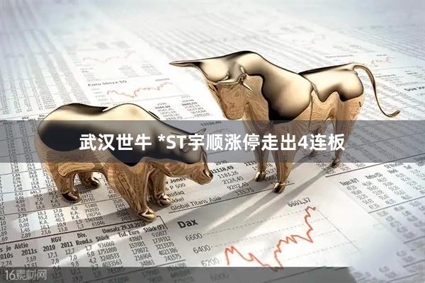 武汉世牛 *ST宇顺涨停走出4连板