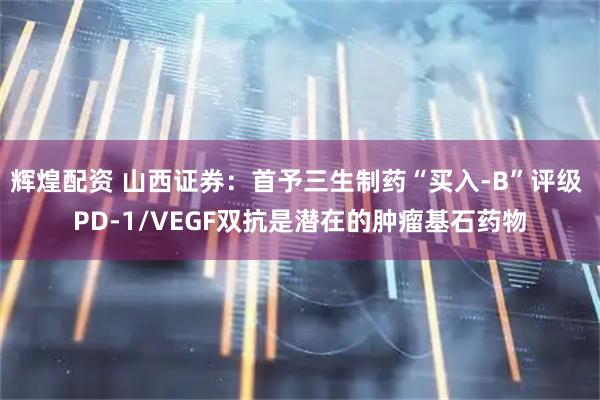 辉煌配资 山西证券：首予三生制药“买入-B”评级 PD-1/VEGF双抗是潜在的肿瘤基石药物