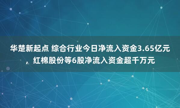 华楚新起点 综合行业今日净流入资金3.65亿元，红棉股份等6股净流入资金超千万元