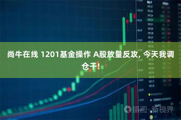 尚牛在线 1201基金操作 A股放量反攻, 今天我调仓干!
