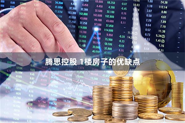 腾思控股 1楼房子的优缺点